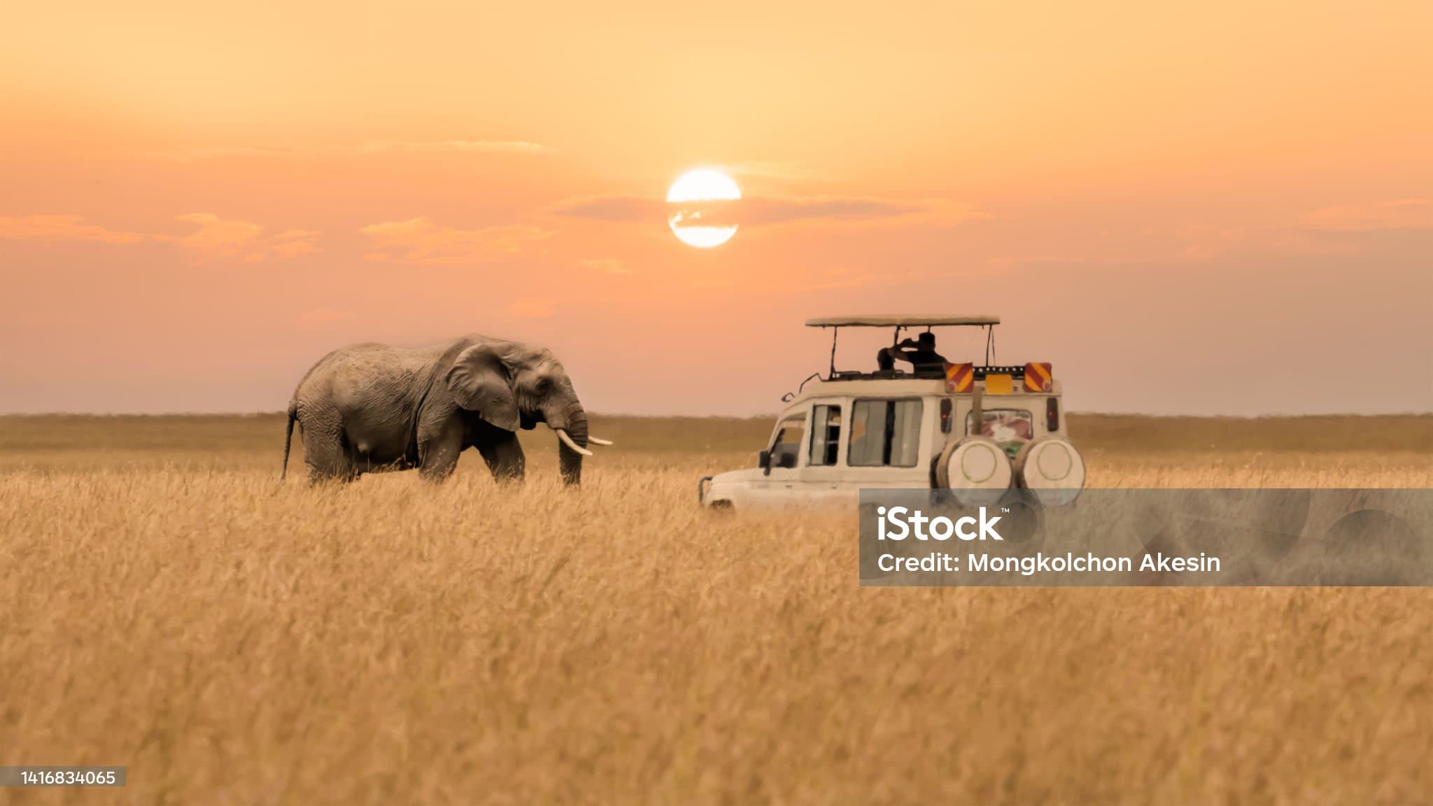 África & Ilhas